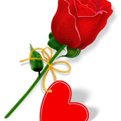 shahid nazir