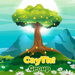 CayThiGroup