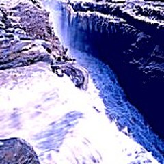 joycebradley8291
