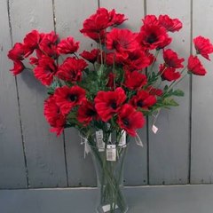 Aashu Yadav