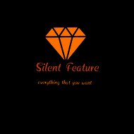 Silent Feature