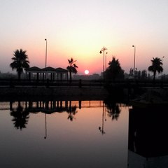 Mhmd Hemeda