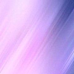 williamfrancis7133