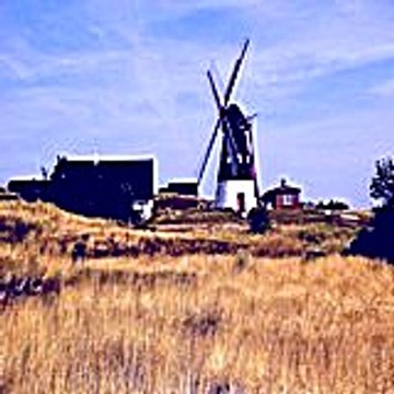 joycejohn4744