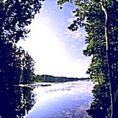 gracielarobert4022