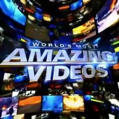 Amazing Videos