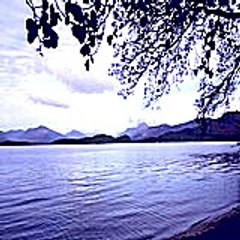 jesserosalind6591