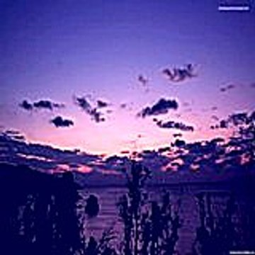 justindavid7985