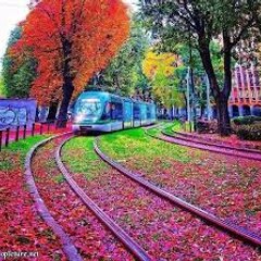 قطار السعادة