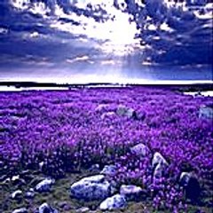 justinjody2564