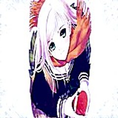 evelynrobin5835