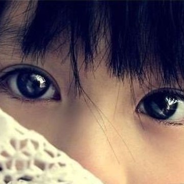 车闻