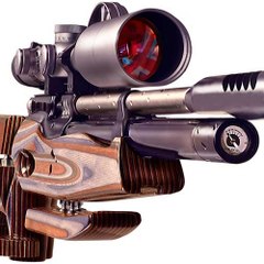 Backyard Shooting
