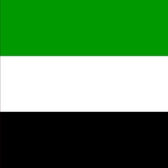 معظم الفيديو تتجه