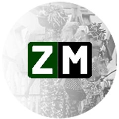 Zapping-Medias