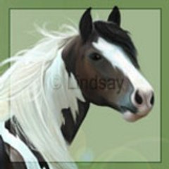 Lindsay