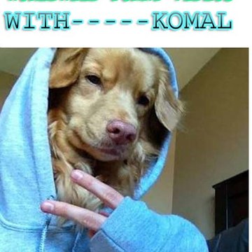 Worldwild funny videos (komal sunny)