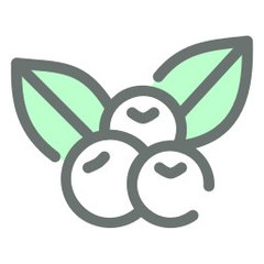 Berrywise Studios