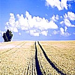 garyalberta6813