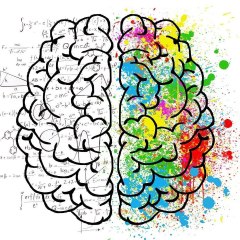 Use your brain
