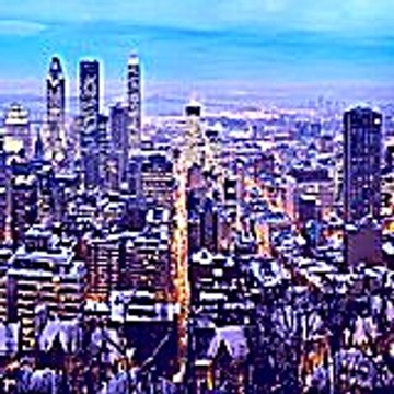 franksteven4197