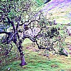 jenniferyolanda8787