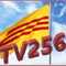 TV256