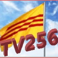 TV256