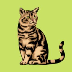Funniest Cats and Dogs videos