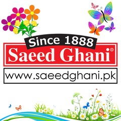 Saeed Ghani