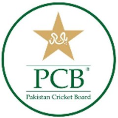 Sprouts Cricket video's