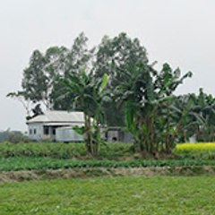 BD Village Scenery