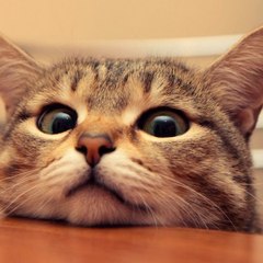 Funny