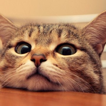 Funny