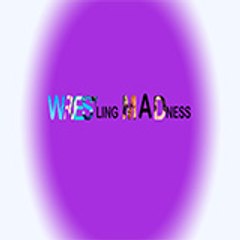 Wrestling Madness