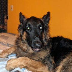 Karen Elizabeth Holcomb