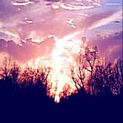 hughevelia5790