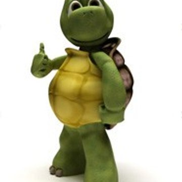 LA GYM DES TORTUES