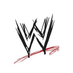 WWE MOMENTS
