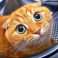 Dancing can be interesting