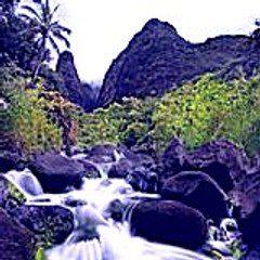 jamesmarsha6430
