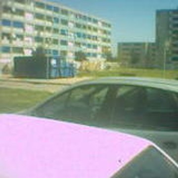 soriccity