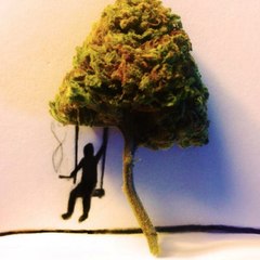 Nugular710