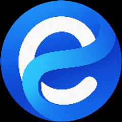 E-Media Arts