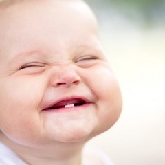 عبد علاء