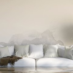 SERVPRO Bloomfield Enfield