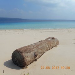Explore the South-Pacific