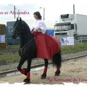 Royaumedufrison