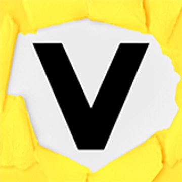 vloggist