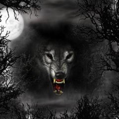 LA NOCHE DEL LOBO